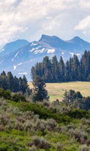 Preview wallpaper mountains, trees, glade, nature, landscape