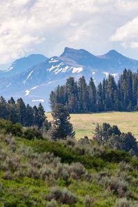 Preview wallpaper mountains, trees, glade, nature, landscape