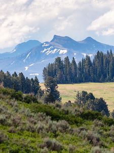 Preview wallpaper mountains, trees, glade, nature, landscape