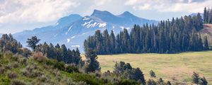 Preview wallpaper mountains, trees, glade, nature, landscape