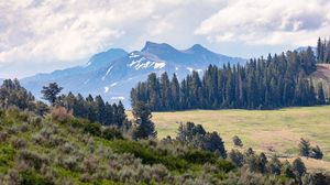 Preview wallpaper mountains, trees, glade, nature, landscape