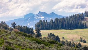 Preview wallpaper mountains, trees, glade, nature, landscape