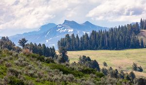 Preview wallpaper mountains, trees, glade, nature, landscape