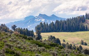 Preview wallpaper mountains, trees, glade, nature, landscape