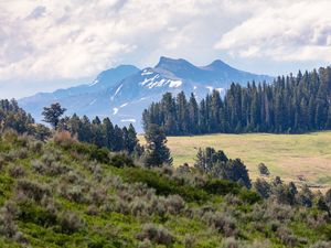 Preview wallpaper mountains, trees, glade, nature, landscape