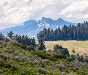 Preview wallpaper mountains, trees, glade, nature, landscape