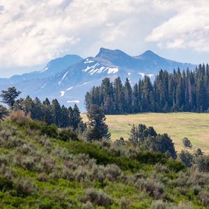 Preview wallpaper mountains, trees, glade, nature, landscape