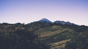 Preview wallpaper mountains, trees, grass, sky