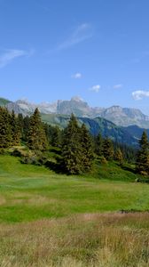 Preview wallpaper mountains, trees, grass, lawn, landscape