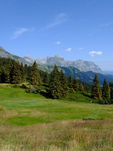 Preview wallpaper mountains, trees, grass, lawn, landscape