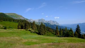 Preview wallpaper mountains, trees, grass, lawn, landscape
