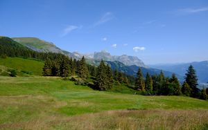 Preview wallpaper mountains, trees, grass, lawn, landscape