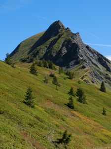 Preview wallpaper mountains, trees, grass, nature, landscape