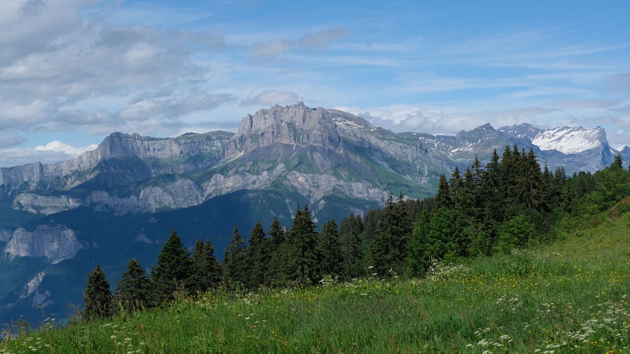 Wallpaper mountains, trees, grass, nature