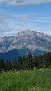Preview wallpaper mountains, trees, grass, nature