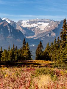 Preview wallpaper mountains, trees, grass, field, landscape