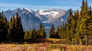 Preview wallpaper mountains, trees, grass, field, landscape