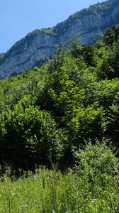 Preview wallpaper mountains, trees, grass, landscape, nature