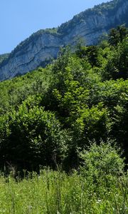 Preview wallpaper mountains, trees, grass, landscape, nature