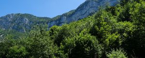 Preview wallpaper mountains, trees, grass, landscape, nature