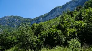 Preview wallpaper mountains, trees, grass, landscape, nature