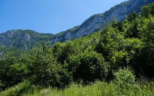 Preview wallpaper mountains, trees, grass, landscape, nature