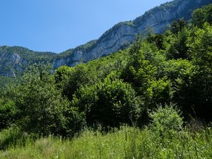 Preview wallpaper mountains, trees, grass, landscape, nature