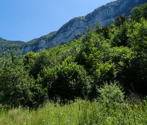 Preview wallpaper mountains, trees, grass, landscape, nature