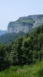 Preview wallpaper mountains, trees, grass, slope, nature