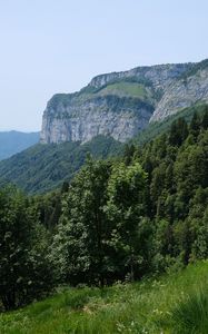 Preview wallpaper mountains, trees, grass, slope, nature