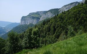 Preview wallpaper mountains, trees, grass, slope, nature