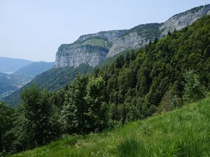 Preview wallpaper mountains, trees, grass, slope, nature