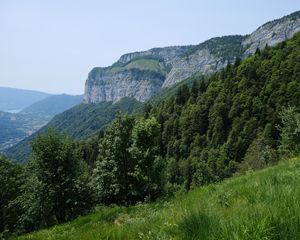 Preview wallpaper mountains, trees, grass, slope, nature