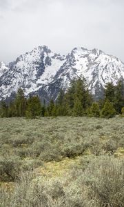 Preview wallpaper mountains, trees, grass, snow, nature, valley