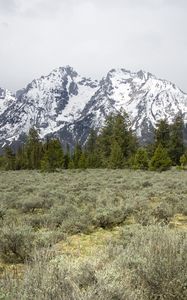 Preview wallpaper mountains, trees, grass, snow, nature, valley