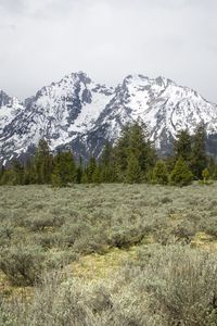 Preview wallpaper mountains, trees, grass, snow, nature, valley