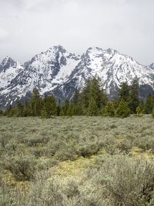 Preview wallpaper mountains, trees, grass, snow, nature, valley