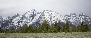 Preview wallpaper mountains, trees, grass, snow, nature, valley