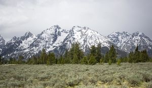 Preview wallpaper mountains, trees, grass, snow, nature, valley