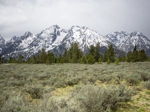 Preview wallpaper mountains, trees, grass, snow, nature, valley