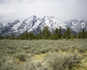 Preview wallpaper mountains, trees, grass, snow, nature, valley