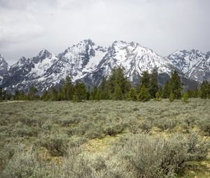 Preview wallpaper mountains, trees, grass, snow, nature, valley