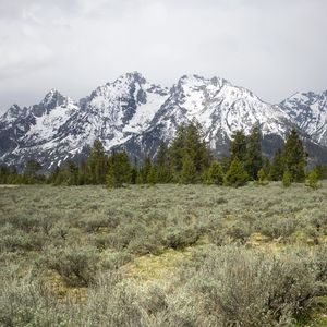 Preview wallpaper mountains, trees, grass, snow, nature, valley