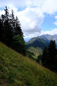 Preview wallpaper mountains, trees, greenery, mountain range, landscape