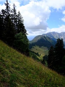 Preview wallpaper mountains, trees, greenery, mountain range, landscape