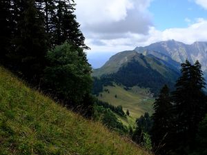 Preview wallpaper mountains, trees, greenery, mountain range, landscape