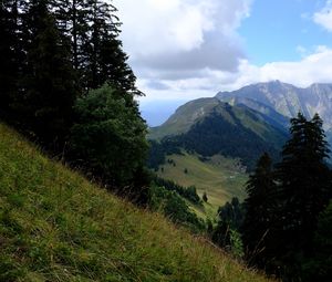 Preview wallpaper mountains, trees, greenery, mountain range, landscape