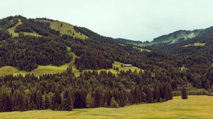 Preview wallpaper mountains, trees, hill