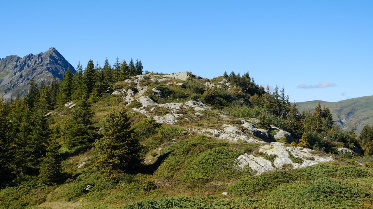 Wallpaper mountains, trees, hill, nature, landscape