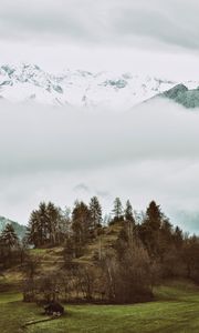 Preview wallpaper mountains, trees, hilly, relief, fog